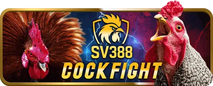 Hoàn trả hàng ngày vicclub